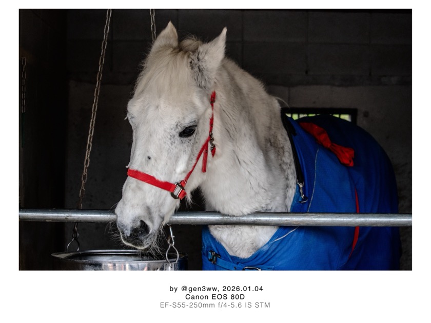 大和国鹿島香取本宮(やまとのくにかしまかとりほんぐう)