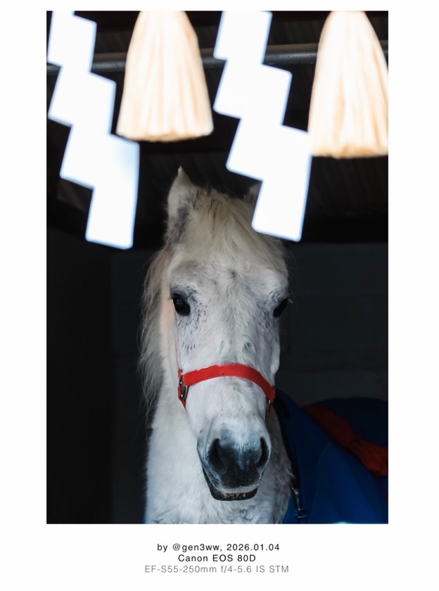 大和国鹿島香取本宮(やまとのくにかしまかとりほんぐう)